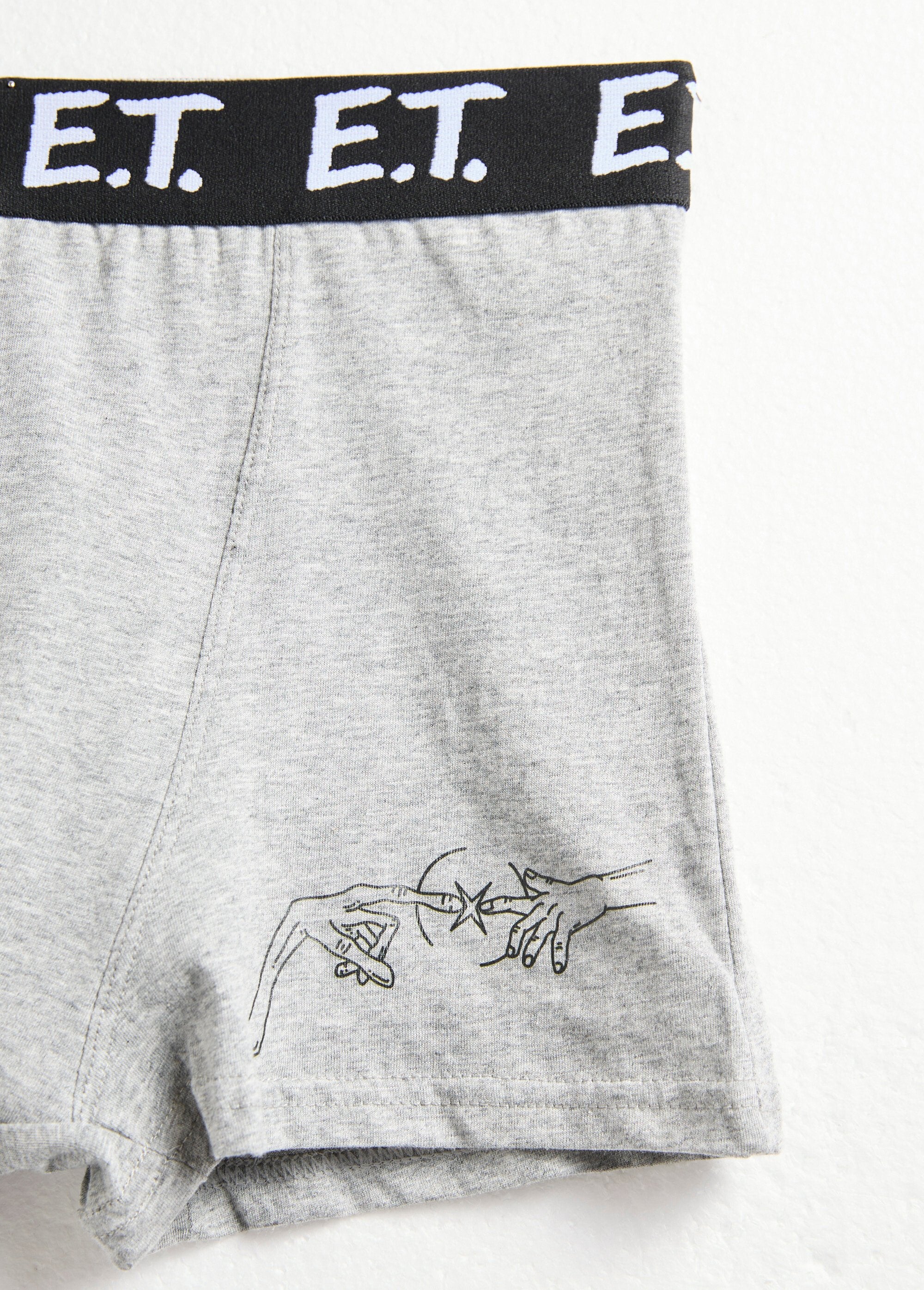 Boxer_with_ET_license_Dark_gray_DE1_slim