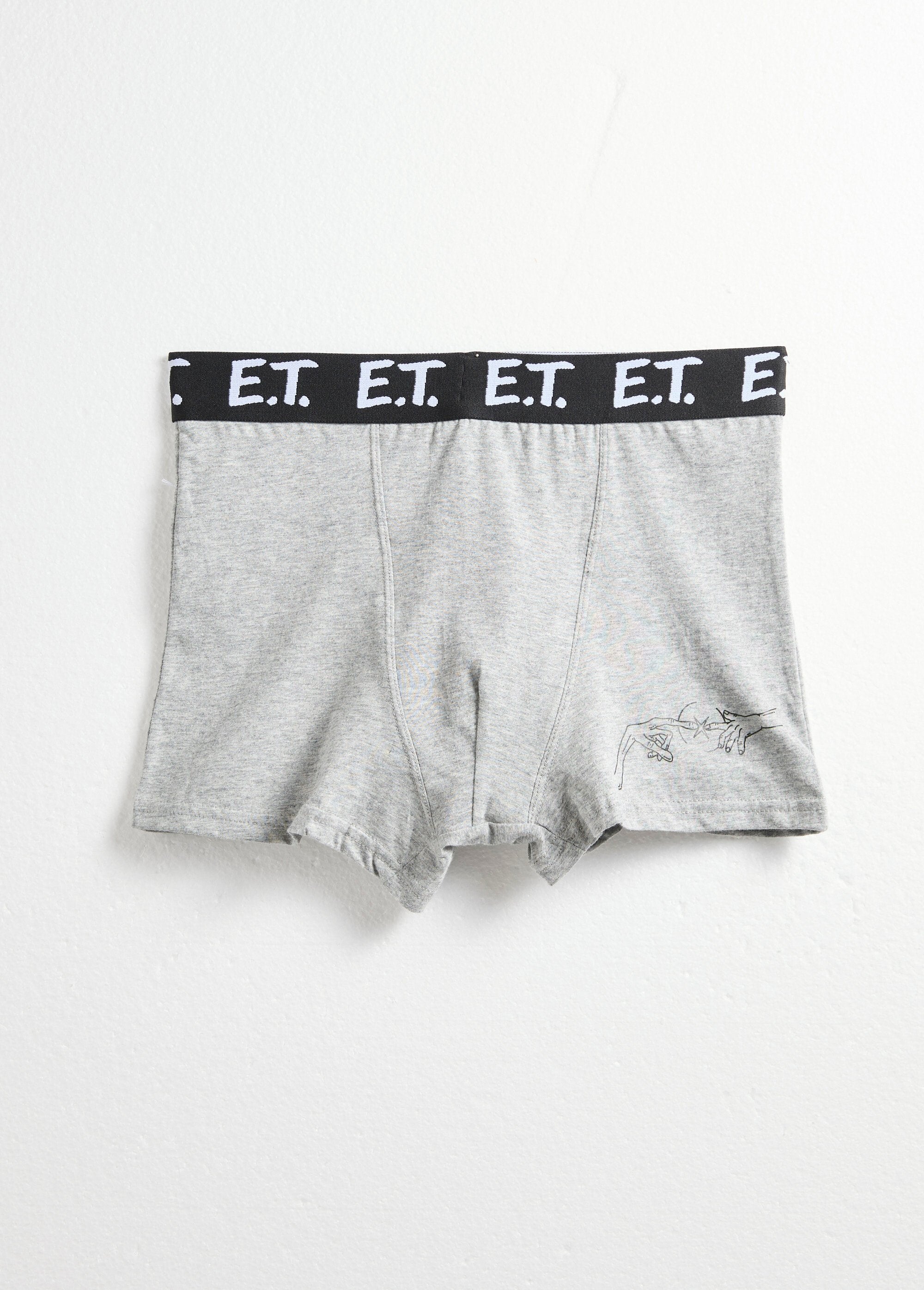 Boxer_with_ET_license_Dark_gray_FA1_slim