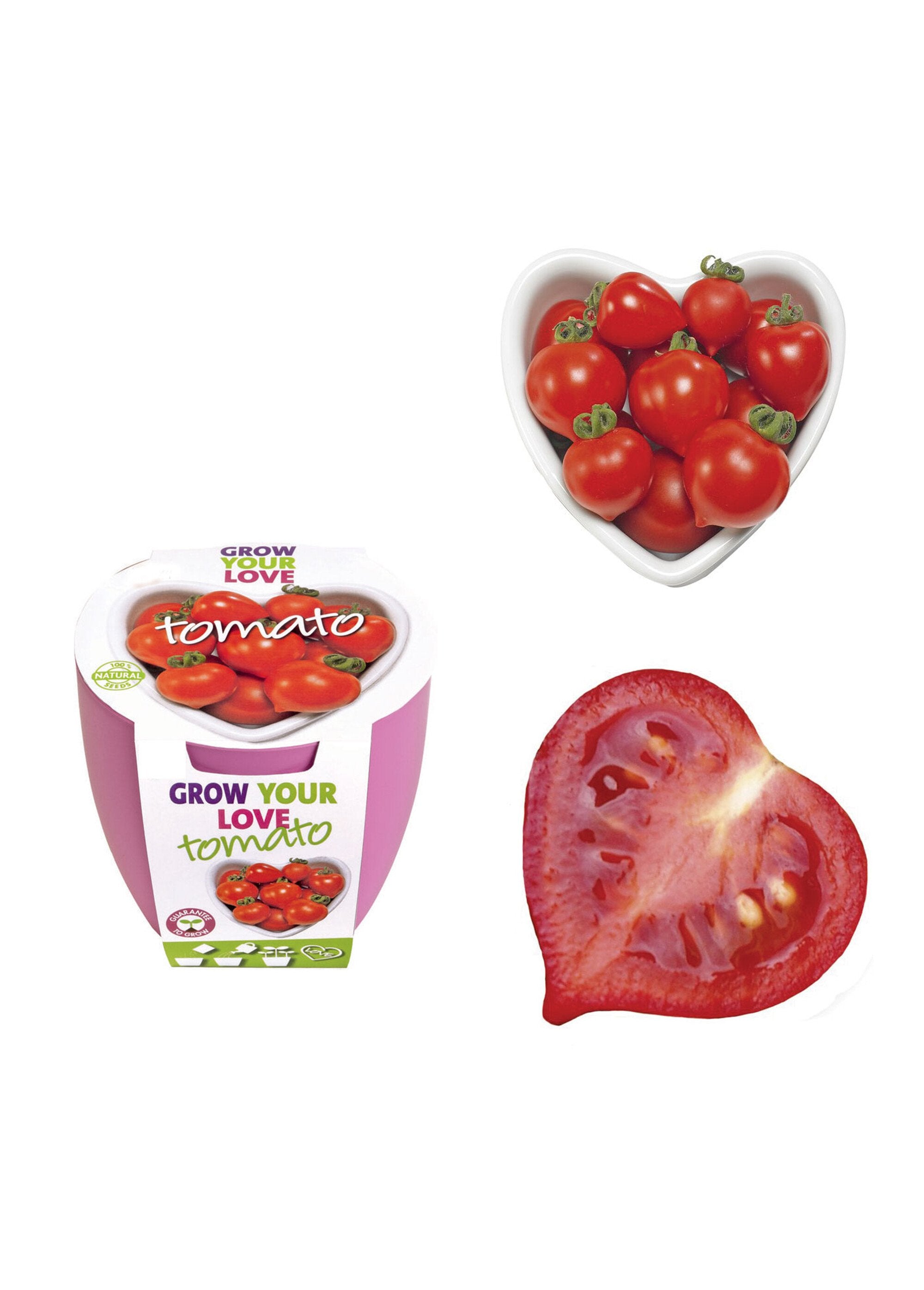 Heart_tomato_and_cherry_growing_kit_Red_FA1_slim